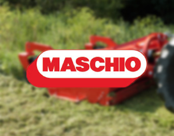 Maschio